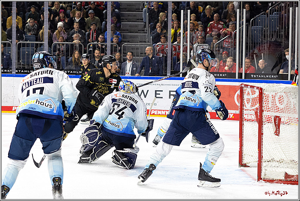 PENNY DEL;  Kölner Haie - ERC Ingolstadt; Köln, 25.11.2022